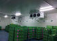 پانل اتاق سرد ساندویچ تجاری PU در فریزر برای نگهداری گوشت و ماهی تامین کننده